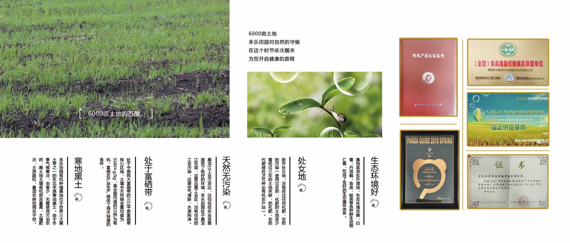 1679204892875001.jpg 1-1P424105P3157.jpg